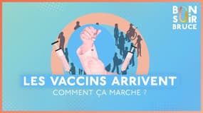 Les vaccins arrivent : comment ça marche ?
