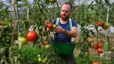 Un agriculteur