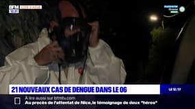 Alpes-Maritimes: 21 nouveaux cas de dengue détectés