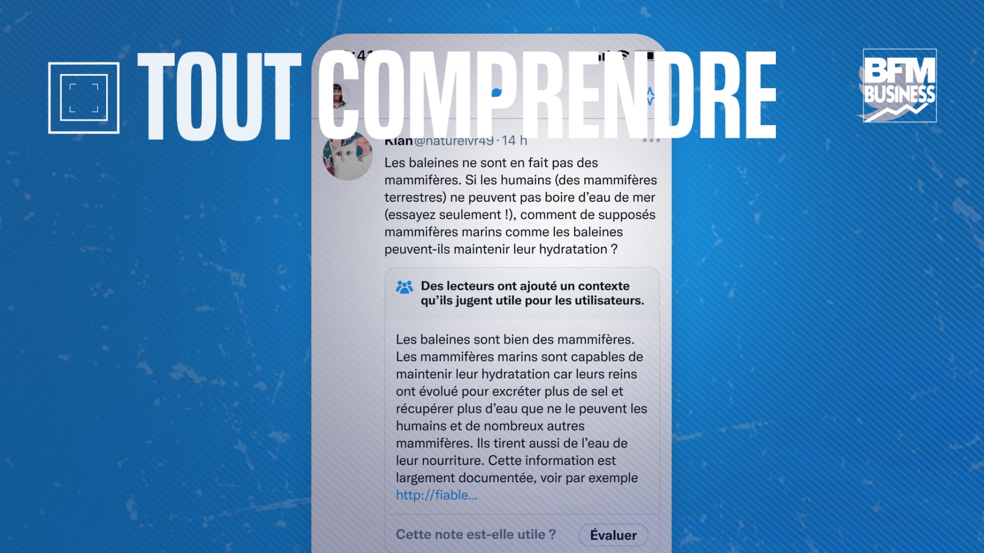 TOUT COMPRENDRE - Que sont les Community Notes, ces messages de plus en  plus présents sur Twitter?