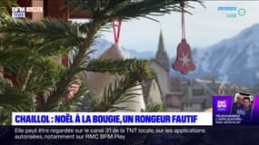 Chaillol: panne électrique et Noël à la bougie à cause d'un rongeur