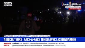 Colère des agriculteurs en Ariège: "On continuera coûte que coûte" lance l'un des manifestants