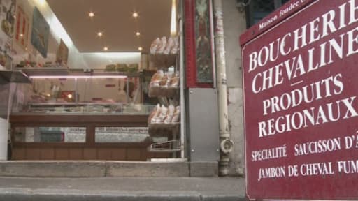 La vente du cheval au prix du boeuf aurait rapporté 300.000 euros, estime le ministre délégué à la Consommation, Benoît Hamon.