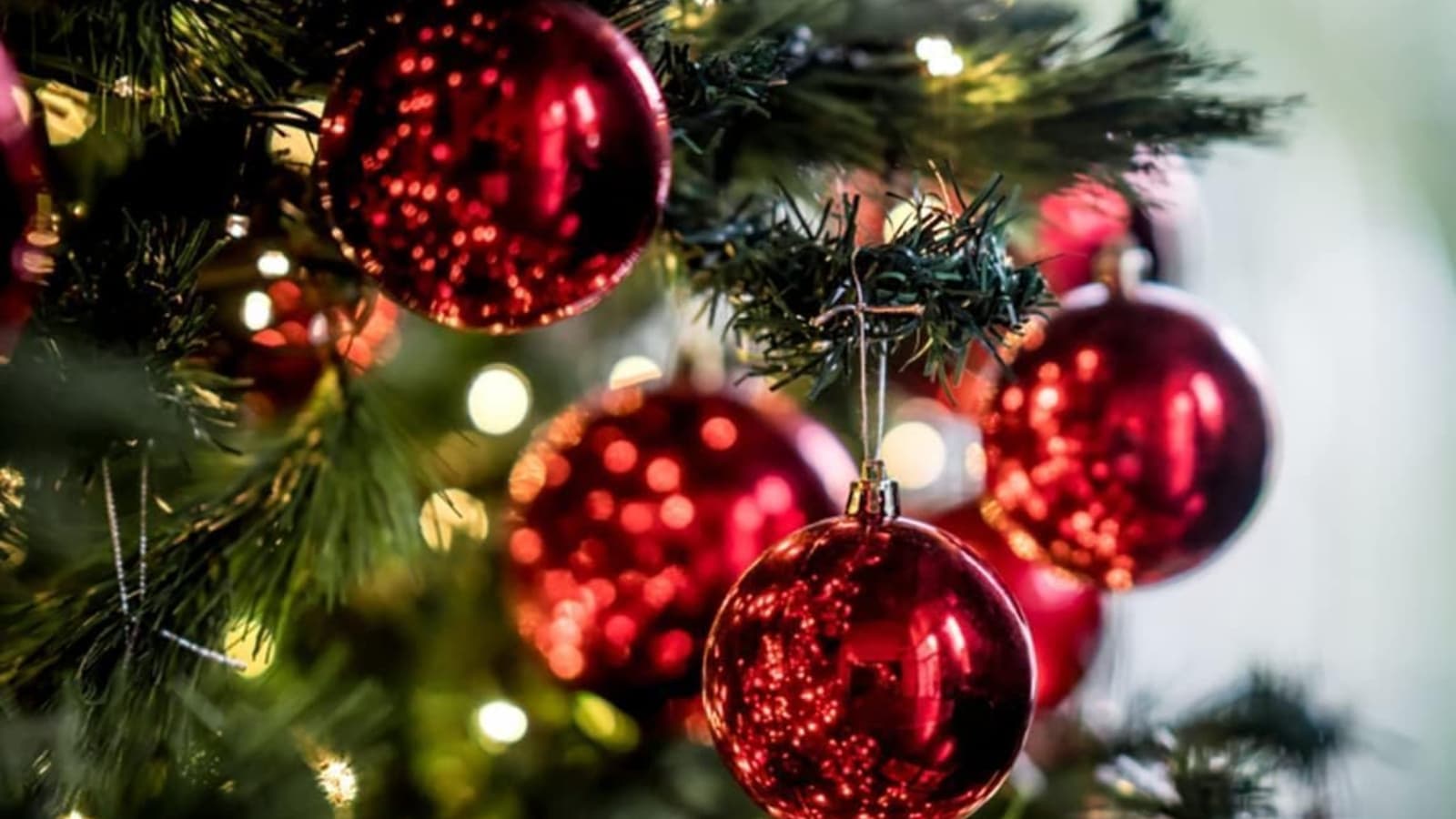 Amazon Haul Amazon Haul