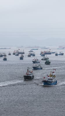 8.000 bateaux chinois reprennent la mer