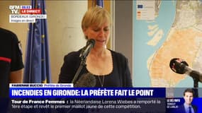 La préfète de Gironde annonce que l'incendie de Landiras est "désormais fixé"