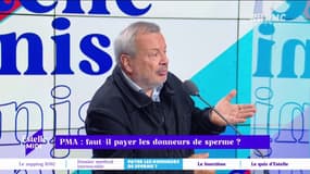 PMA : faut-il payer les donneurs de gamètes ? "Je trouverai horrible qu'un enfant soit né à partir de la commercialisation de gamètes !" estime Périco Légasse. 