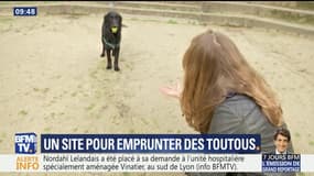 Un site pour emprunter des chiens 