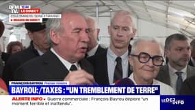 Guerre commerciale: "Soyez prêts à être courageux", déclare François Bayrou