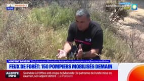 Feux de forêt : 150 sapeurs-pompiers mobilisés ce vendredi