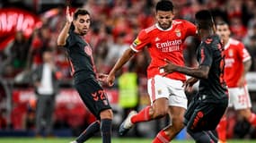 Gonçalo Ramos avec Benfica face à Braga, le 6 mai 2023.