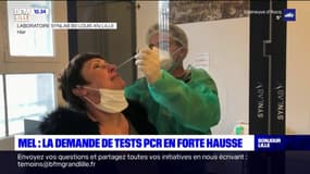 Lille: la demande de tests Covid en forte hausse