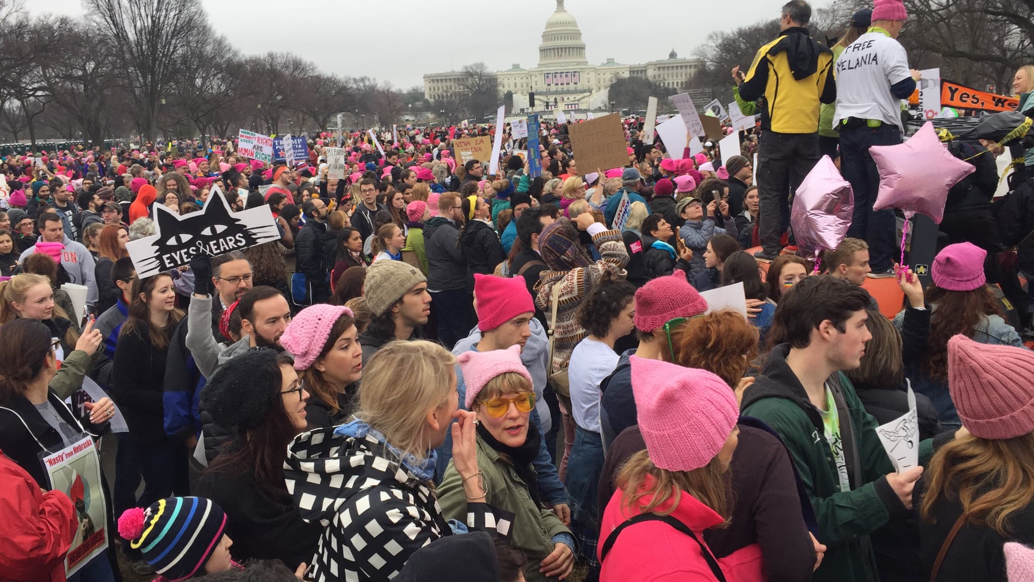 Des manifestants coiffés de "pussyhats" lors de la marche des femmes à Washington le 21 janvier 2017 (photo d'illustration)