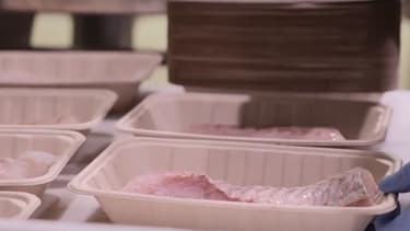 Auchan généralise les barquettes compostables au rayon viande et poissonnerie dans tous ces magasins au cours du mois de mars 2021.