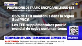 Coupe du monde de rugby: 85% des TER maintenus ce week-end