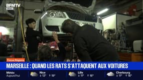 Focus Régions - 07/11