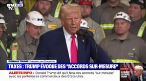 Droits de douane: "Beaucoup de pays veulent conclure des accords (...) ils font la queue devant nos bureaux", affirme Donald Trump