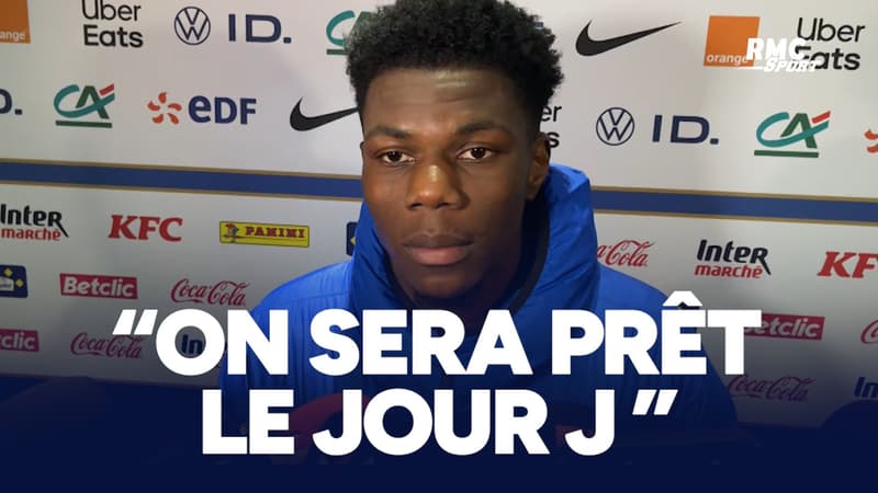 France 1-2 Côte d'Ivoire : 