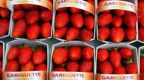 Avec la météo clémente, les premières gariguettes françaises sont déjà sur les étals