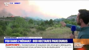 Les images de l'incendie d'Aumelas, dans l'Hérault