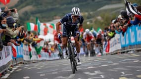 Alaphilippe