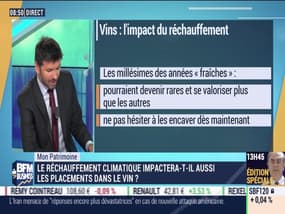 Mon patrimoine: Le réchauffement climatique affectera-t-il aussi les placements dans le vin ?, par Guillaume Sommerer - 08/01