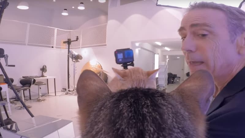 Alain Chamfort filmé par des chats dans le clip de "Tout est pop"