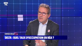 Martin Hirsch : "Grâce à la vaccination, la montée des cas graves a été retardée" - 01/12