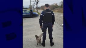 Photo des gendarmes de Digne-les-Bains.