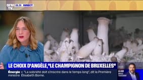 Le choix d'Angèle - Des champignons produits à base de pain et de bière, en Belgique 