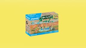 Auchan régale les enfants avec ces offres Playmobil, ça part comme des petits pains