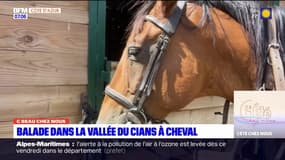 C beau chez nous: à la découverte de la vallée du Cians lors d'une balade à cheval