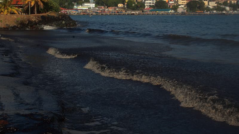 Caraïbes: une mystérieuse marée noire ravage les îles de Trinité-et-Tobago