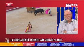 La corrida interdite aux -16 ans ? "Je ne crois pas qu'il y ait de lien entre avoir vu une corrida et faire des massacres dans le RER", juge Didier Giraud