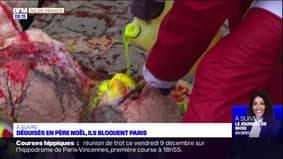 Paris: des cadeaux empoisonnés déposés par des militants écologistes