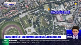 Marseille: un homme interpellé après une agression au couteau au parc Borély