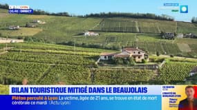 Rhône: bilan touristique mitigé dans le Beaujolais pour l'été 2024