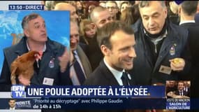 Agathe, la poule adoptée par Emmanuel Macron, sur le plateau de BFMTV