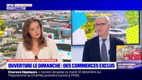 Commerces ouverts le dimanche pendant les JO de Paris: une réunion prévue ce lundi à la chambre de commerce et d'industrie