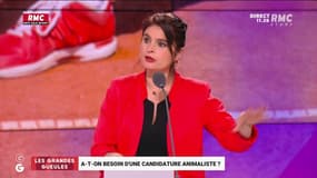 "Il n'y a rien qui justifie son maintien": la candidate du parti animaliste Hélène Thouy plaide pour l'interdiction de la chasse