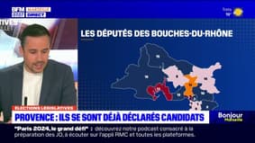 Élections législatives: ces députés qui ont déjà annoncé leur candidature dans les Bouches-du-Rhône