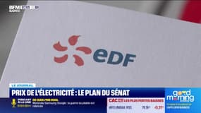 Prix de l'électricité : le plan du Sénat