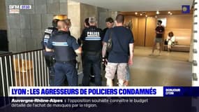 Policiers municipaux agressés à Lyon: jusqu'à deux ans de prison