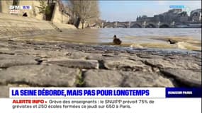 Paris: la Seine déborde, mais pas pour longtemps