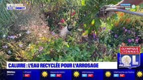 Caluire : l'eau recyclée pour l'arrosage