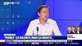 France : ça ralentit, mais ça résiste ...