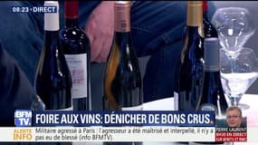 Focus Première: Foire aux vins: peut-on se faire plaisir avec 50 euros ? - 15/09