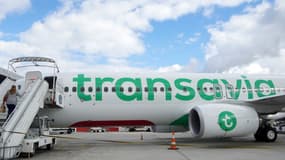 Transavia 