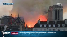 Incendie de Notre-Dame: une erreur humaine lors de la vérification de la première alerte?