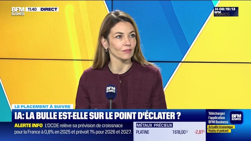 Le placement Ã  suivre : IA, la bulle est-elle sur le point d'Ã©clater ? - 02/12